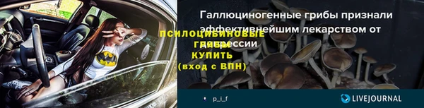 сатива Снежногорск
