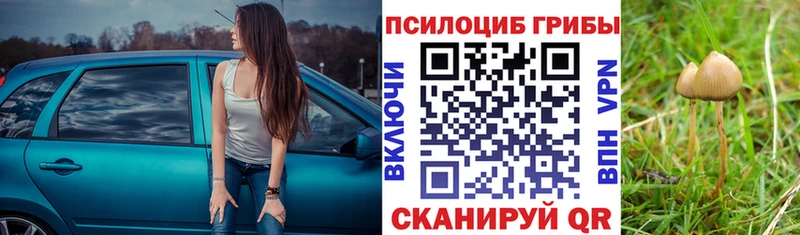 площадка клад Фролово Псилоцибиновые грибы GOLDEN TEACHER